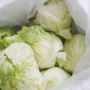 법이네 야채가게 이미지