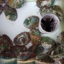 사월삼계탕 김선장 이미지