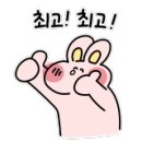 이끌림결혼정보