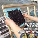 완도김 완도 가볼만한곳 지주식 김 체험 이미지