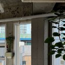필라테스스퀘어성수