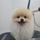 화멍화멍 이미지