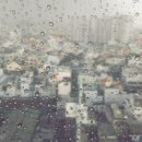 비울채울 이미지