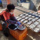 씨없는곶감마을 이미지