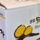 2026 창립배 동선 알림 이미지