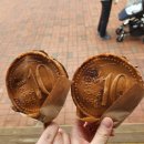 [방문후기] 경주 버드파크 후기 경주 실내 가볼만한 곳 경주 여행 추천!! 내돈내산