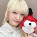 아이브코리아