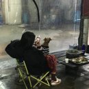 환이셀프세차장 | 대구애견동반고깃집 몬스터캠핑