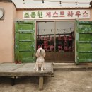 함덕조용한게스트하우스 네이버블로그