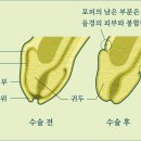 조희주비뇨의학과의원 이미지