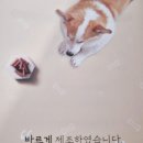바른멍쿡 이미지