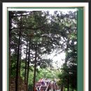 성당새마을금고앞 이미지