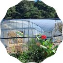 수지면 남창마을 이미지