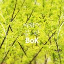 비오케이(BOK) 이미지