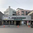 금관꽃돼지 이미지