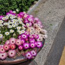 더벤티대구용산점 | [대구 달서구 포케 맛집] 신선한 야채가 있는 다이어트 식단 &#34;샐러드밥 용산죽전점&#34;