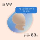 김밥나라(전대예대점) | 임신기록 30주~33주차(역류성식도염/치골통/경부길이)