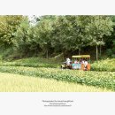 새소리농장 이미지