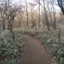 소라장모텔 이미지