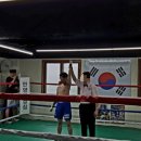 월드권투체육관 | [복싱 프로테스트] KBM 제54회 복싱 프로테스트 현장 후기!