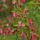 경기둘레길 안성42코스 이미지