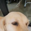 퓨파캠프커피앤스터프