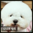 니니앤제리 네이버블로그
