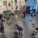 크로스핏 503 이미지