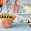 대중농장 이미지