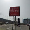 맛지비불티나꼬막짬뽕