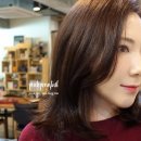 헤리헤어샵