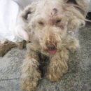 중산간서로 이미지