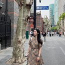 명품성인 | 명품 원피스 추천 버버리 원피스, 버버리 키즈 14Y 성인 착용 후기