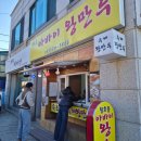 청호초등학교 | 속초 만두 맛집 아바이왕만두 매운김치만두 내돈내산 솔직후기