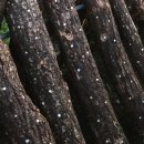 (주)신성솔라에너지태양광발전소 이미지