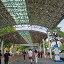 주암동농장 | 레츠런파크 과천 주말엔 색다른 힐링! 직접 다녀온 생생한 후기