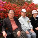 태백초등학교 이미지