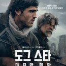 도그스타 이미지