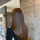 바비하우스 이미지