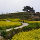 싱글벙글여행사 이미지