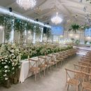 노블레스 | 27년도 하반기 논산 노블레스웨딩홀 후기 견적 공유(계약o)