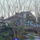 노엘의 다락방 이미지