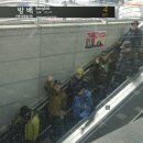 서리풀길 12 이미지