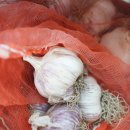 정동영농 조합법인 이미지