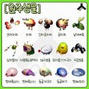 닌텐도 팝업스토어 잠실 다녀온 후기 (25년 11월)