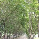 태산목장 이미지