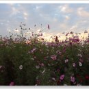 하늘정원1 이미지