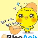 본 힐링하우스 이미지