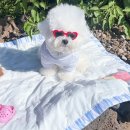 마롱스테이 이미지