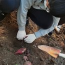 삼가중학교 이미지